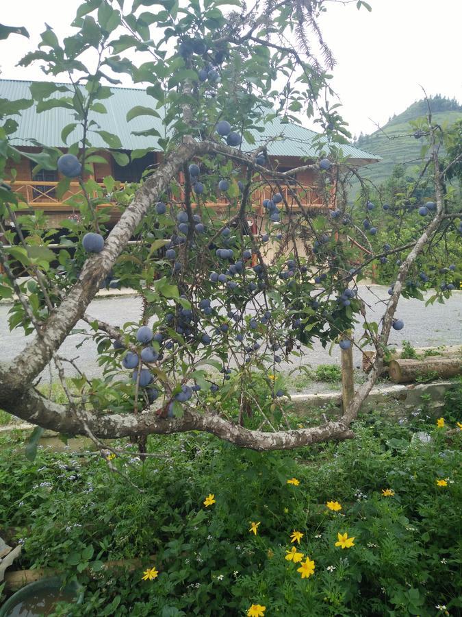 花苗民宿 北河县 外观 照片