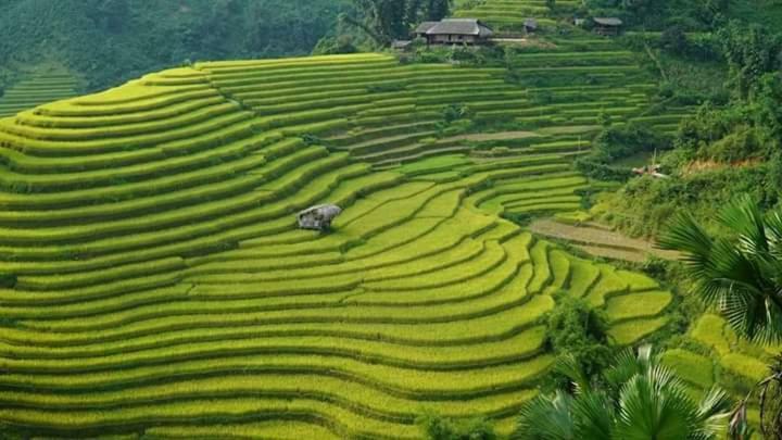 花苗民宿 北河县 外观 照片